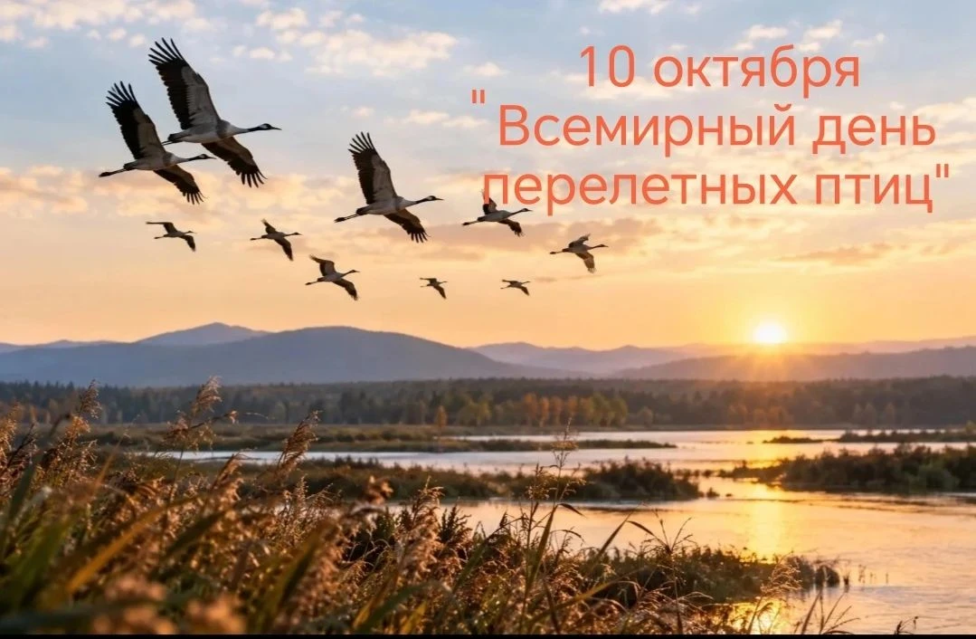 10 октября Всемирный день перелетных (мигрирующих) птиц"