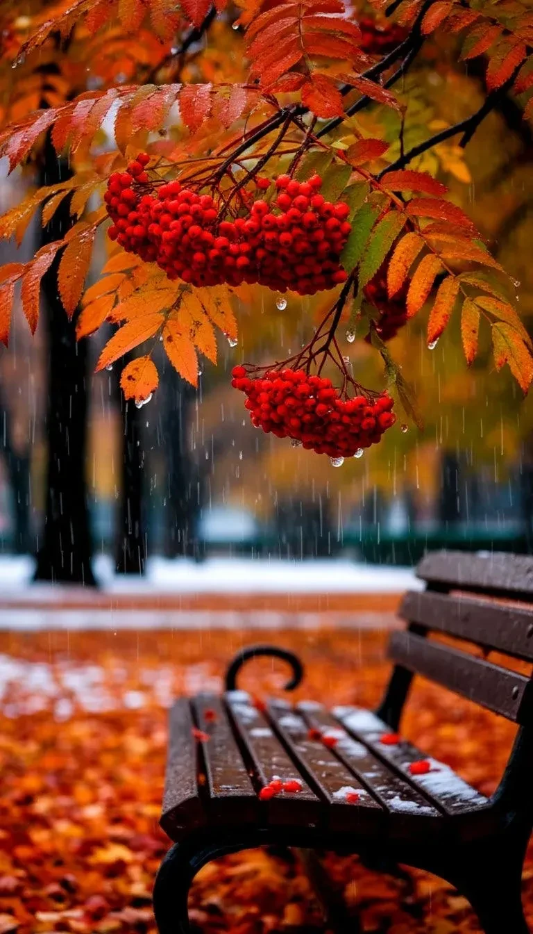 ☕️ Доброе утро!