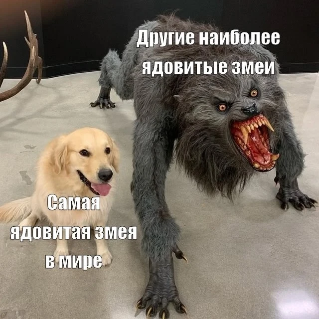 Самой ядовитой змеёй, согласно нескольким научным источникам, является тайпан Маккоя, о...