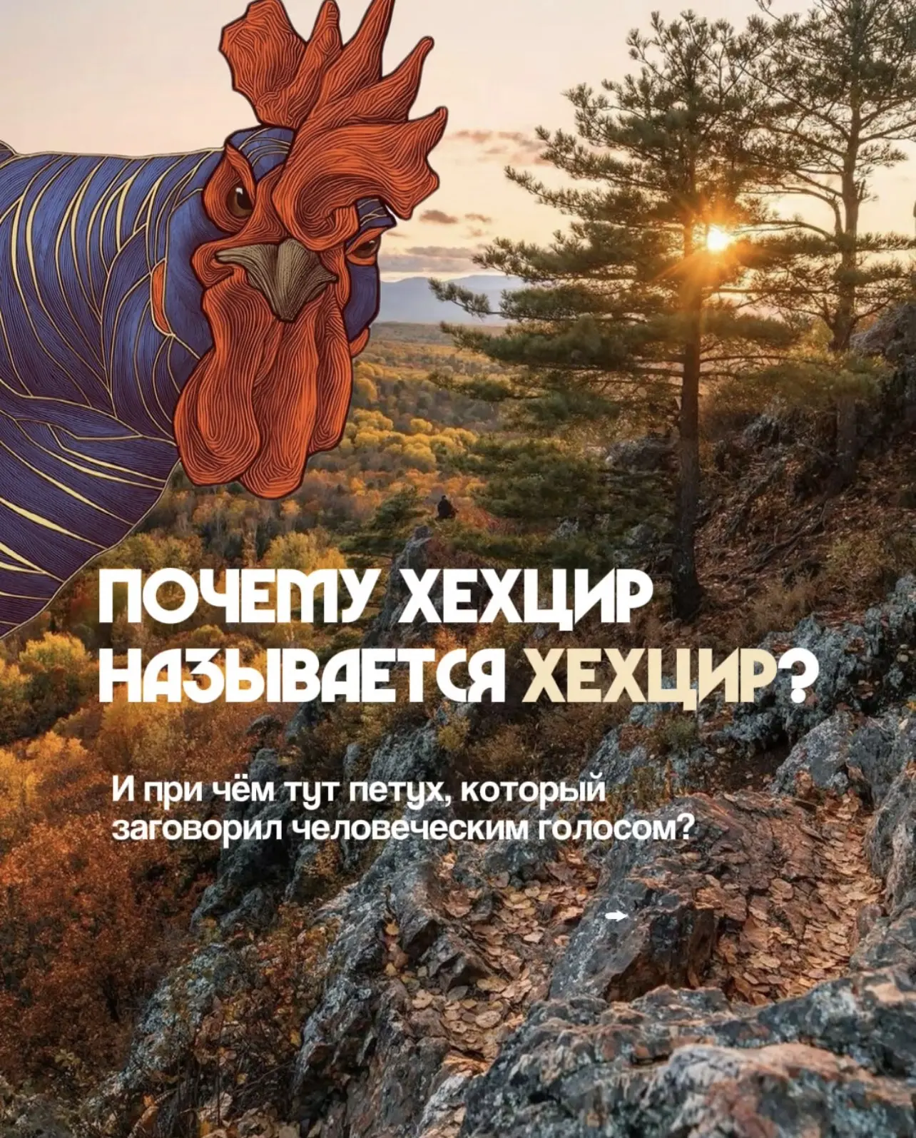 Одна ночь, говорящий петух и человек, который стал шаманом на всё Приамурье, - вот отку...