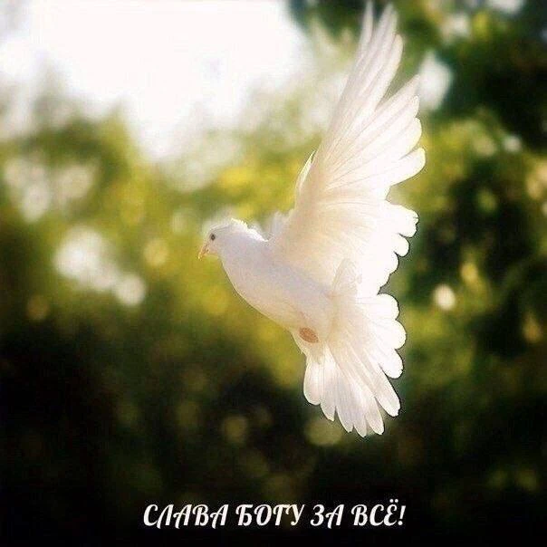 Господи, благодарю Тебя за то, что у меня есть, и трижды благодарю Тебя за то, чего у м...