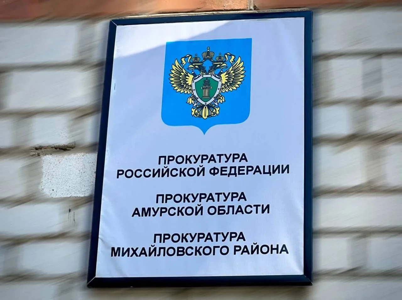 В Михайловском муниципальном округе прокуратура защитила права двух несовершеннолетних ...