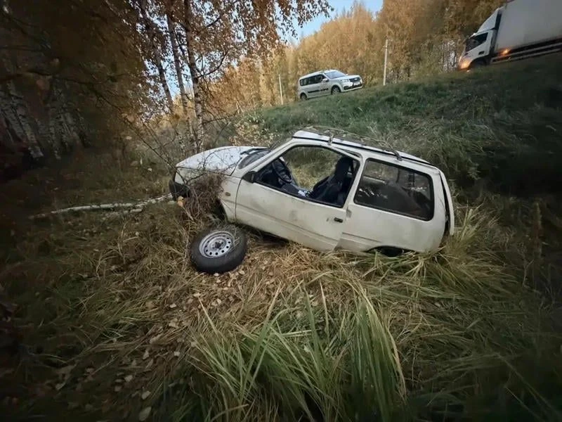 «Ока» съехала в кювет в Первомайском округе: пострадал водитель