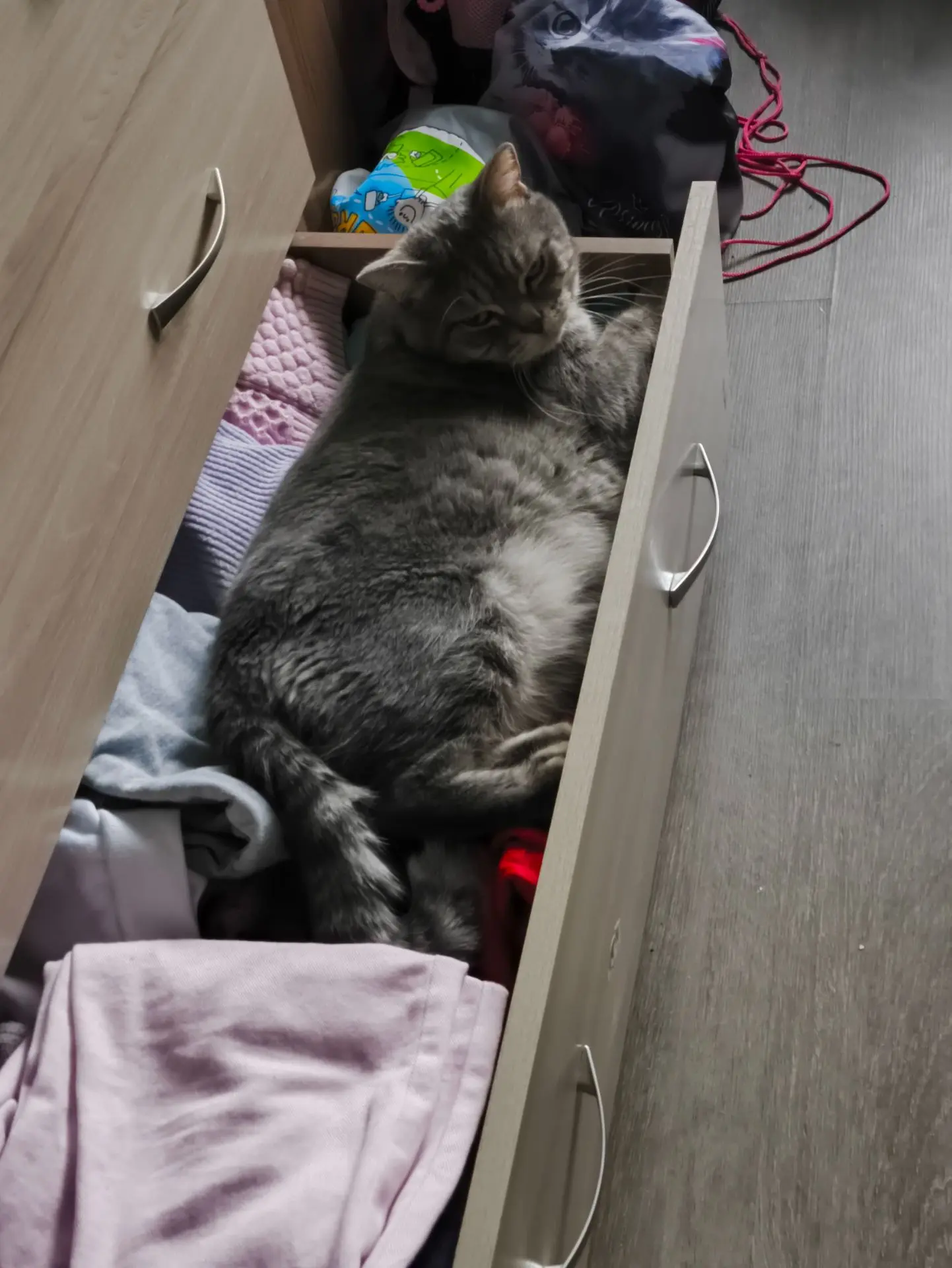 У нас кот нашел новое место для своей лежанки🤭🤭🤭
