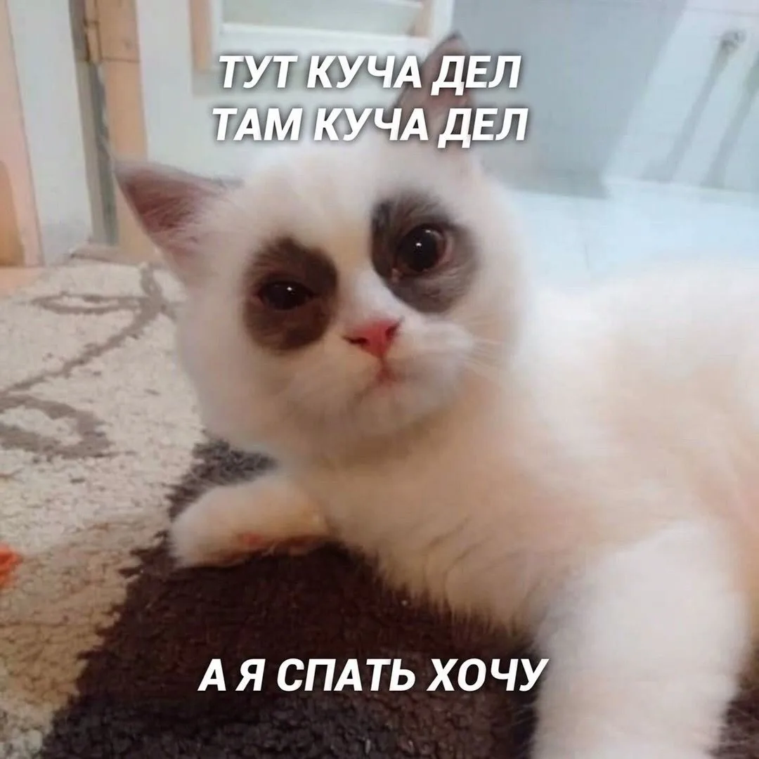 Да это же я🙀🙈