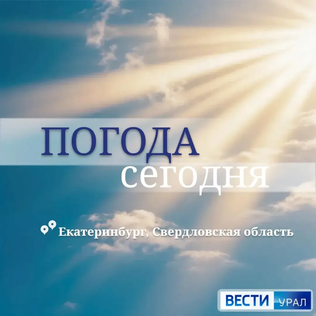 Сегодня будет тепло: смотрим прогноз погоды ⬇️