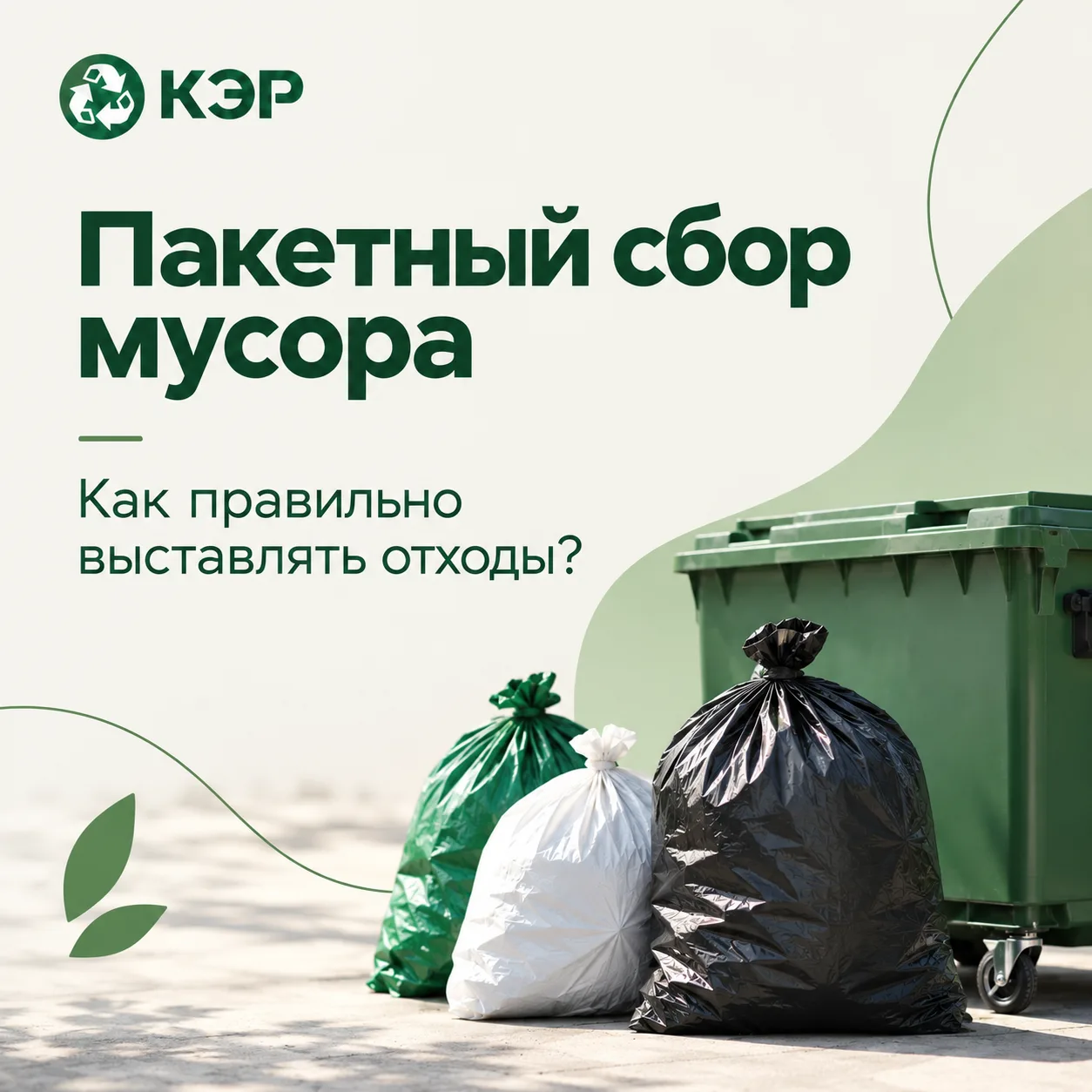 🌿 Пакетный сбор мусора: как правильно выставлять отходы?