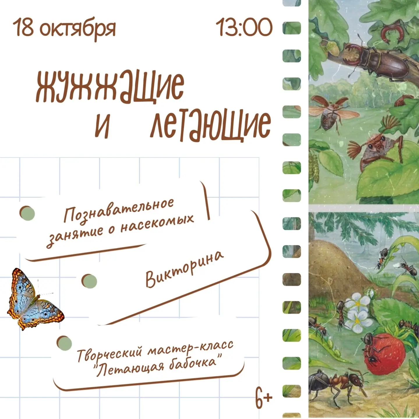 🐞 ВНИМАНИЕ, ЮНЫЕ ИССЛЕДОВАТЕЛИ!