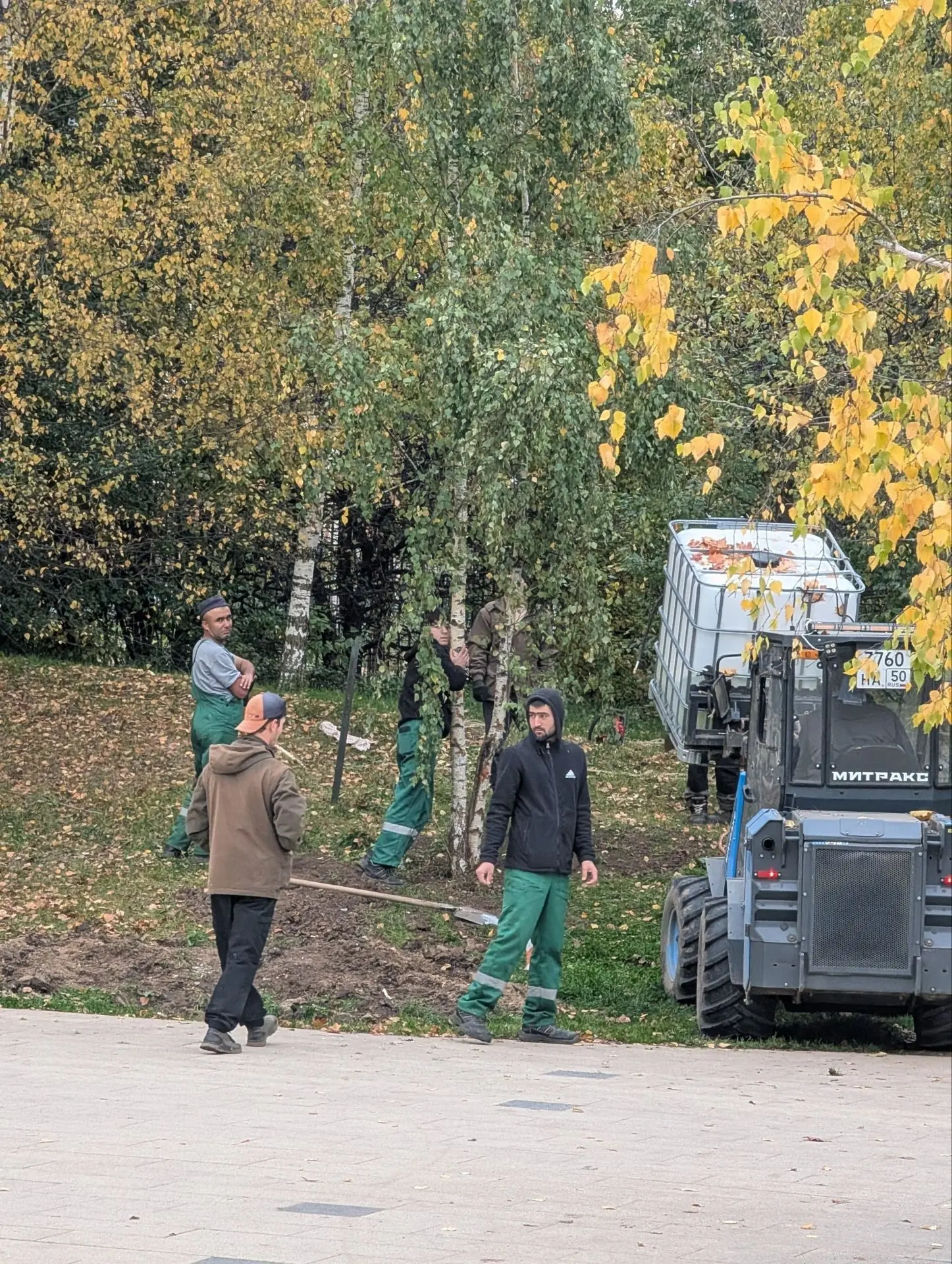 И снова жертвами благоустройства стали деревья 🤯