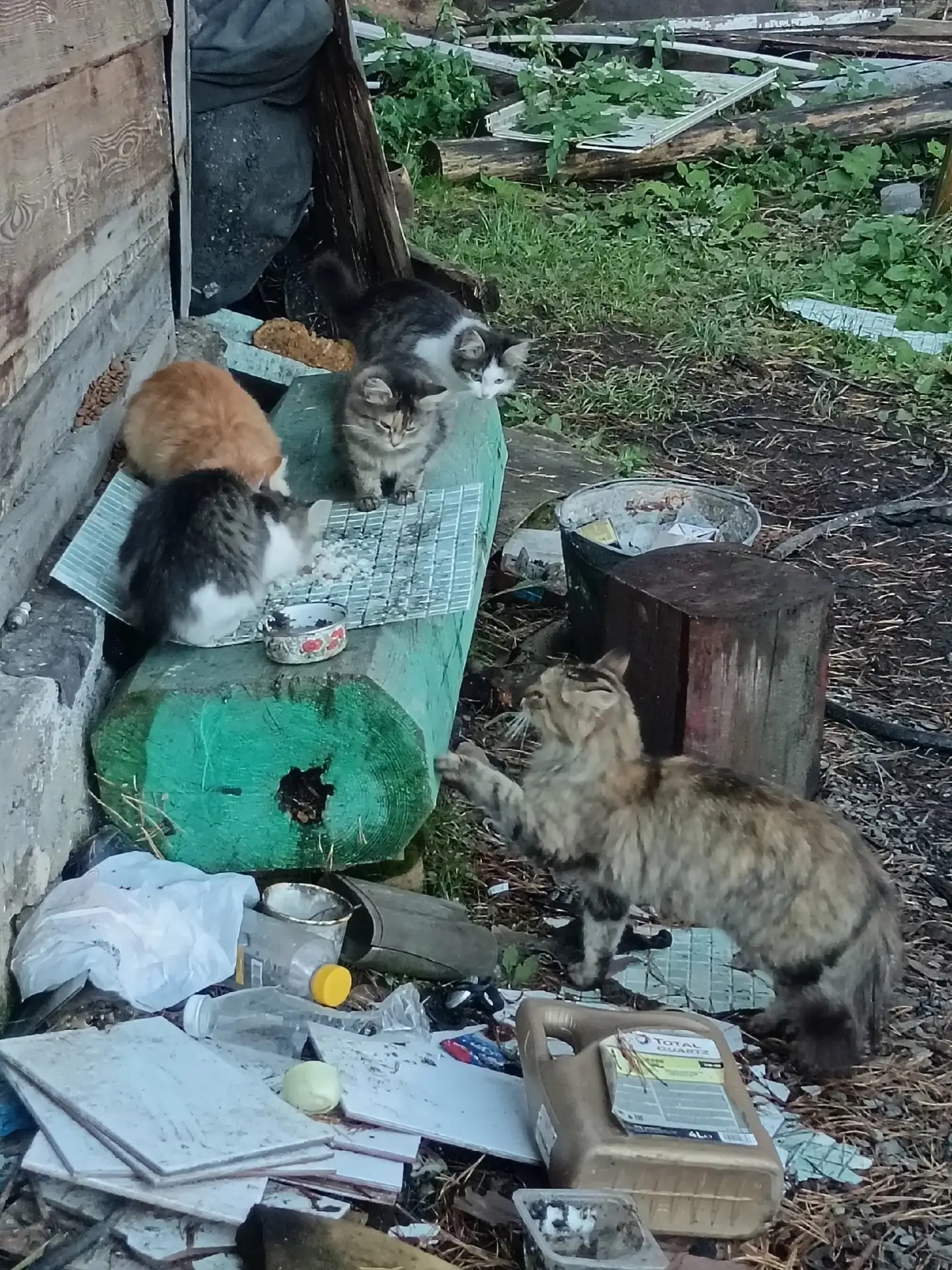🆘🆘🆘 Животные замерзают 🆘🆘🆘