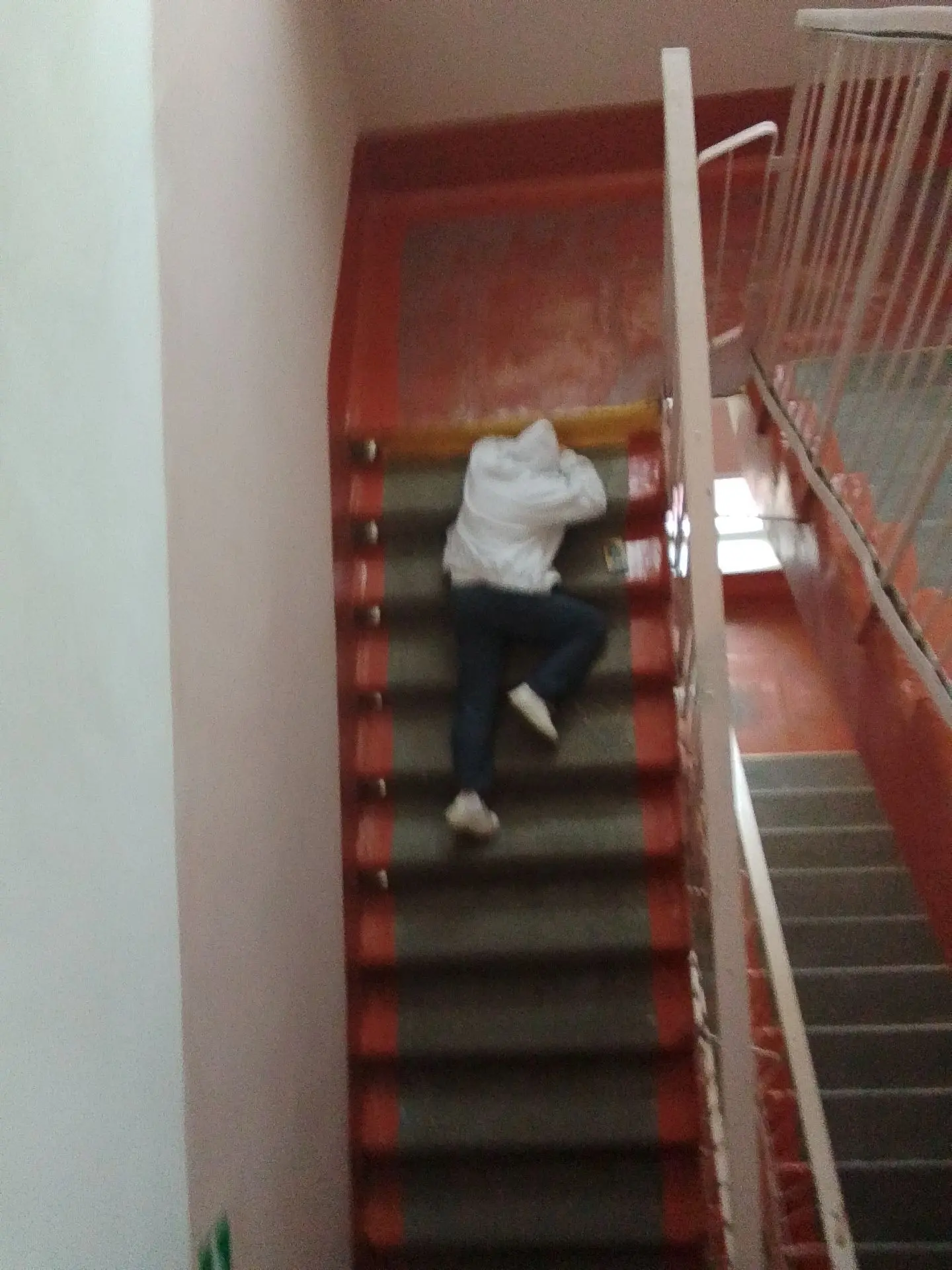 Предложка: