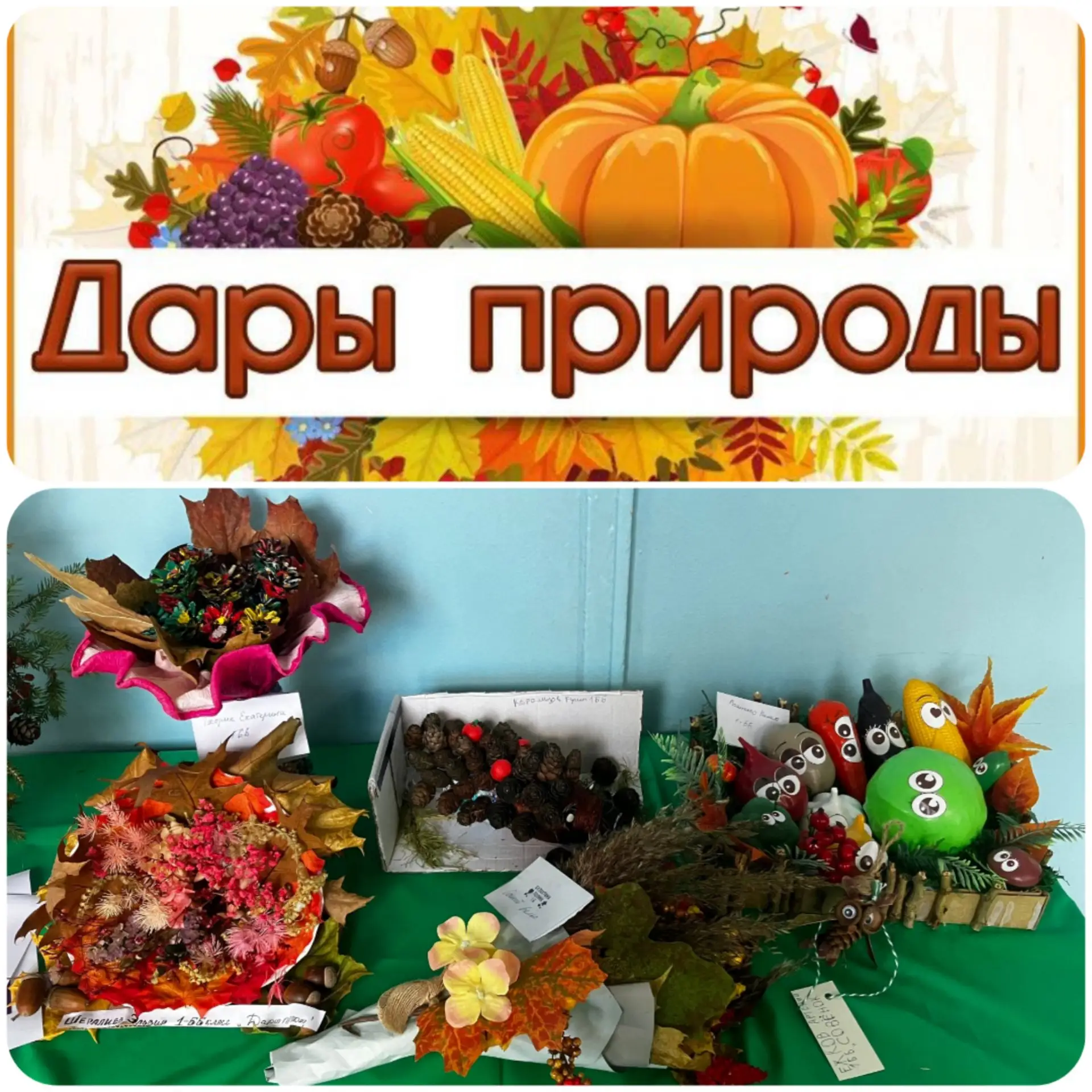 Ученики начальных классов МОУ СОШ №2 приняли участие в школьном конкурсе «Дары природы»...