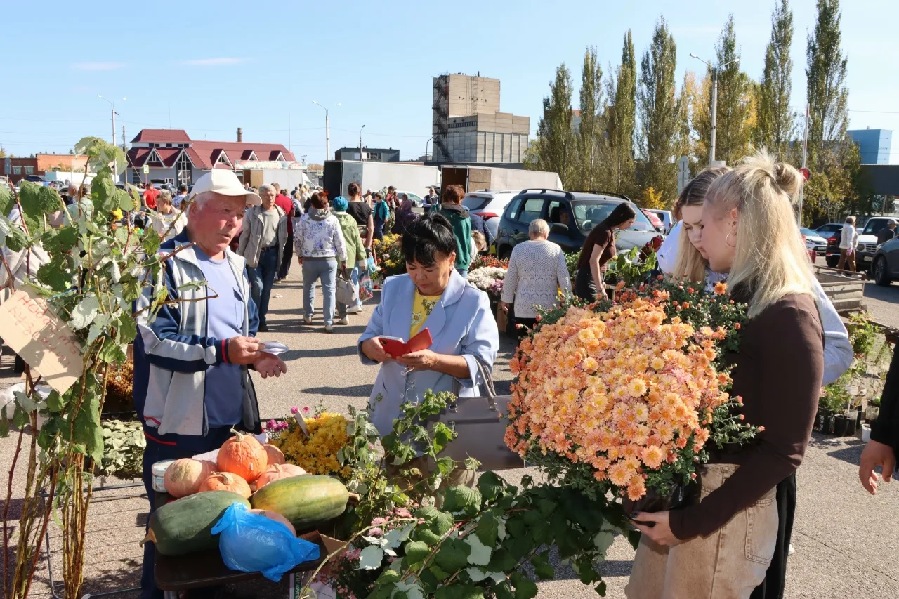 🥔🥕🍏В Стерлитамаке пройдёт заключительная сельхозярмарка