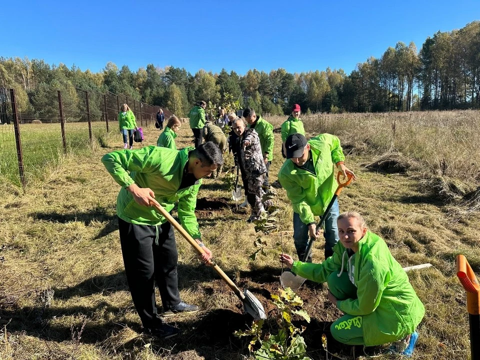 🌳 В Смоленском Поозерье — пополнение: волонтёры Сбера высадили дубовую аллею.