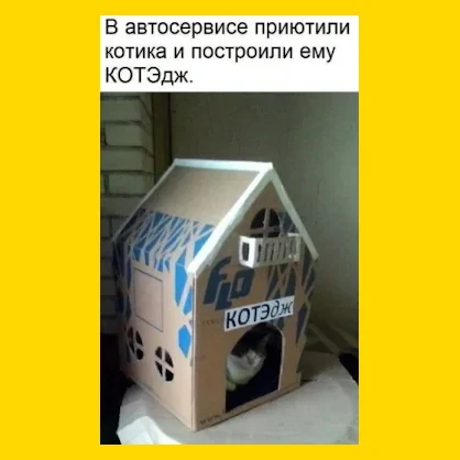 Полный Хохотамбл! Подпишись скорее