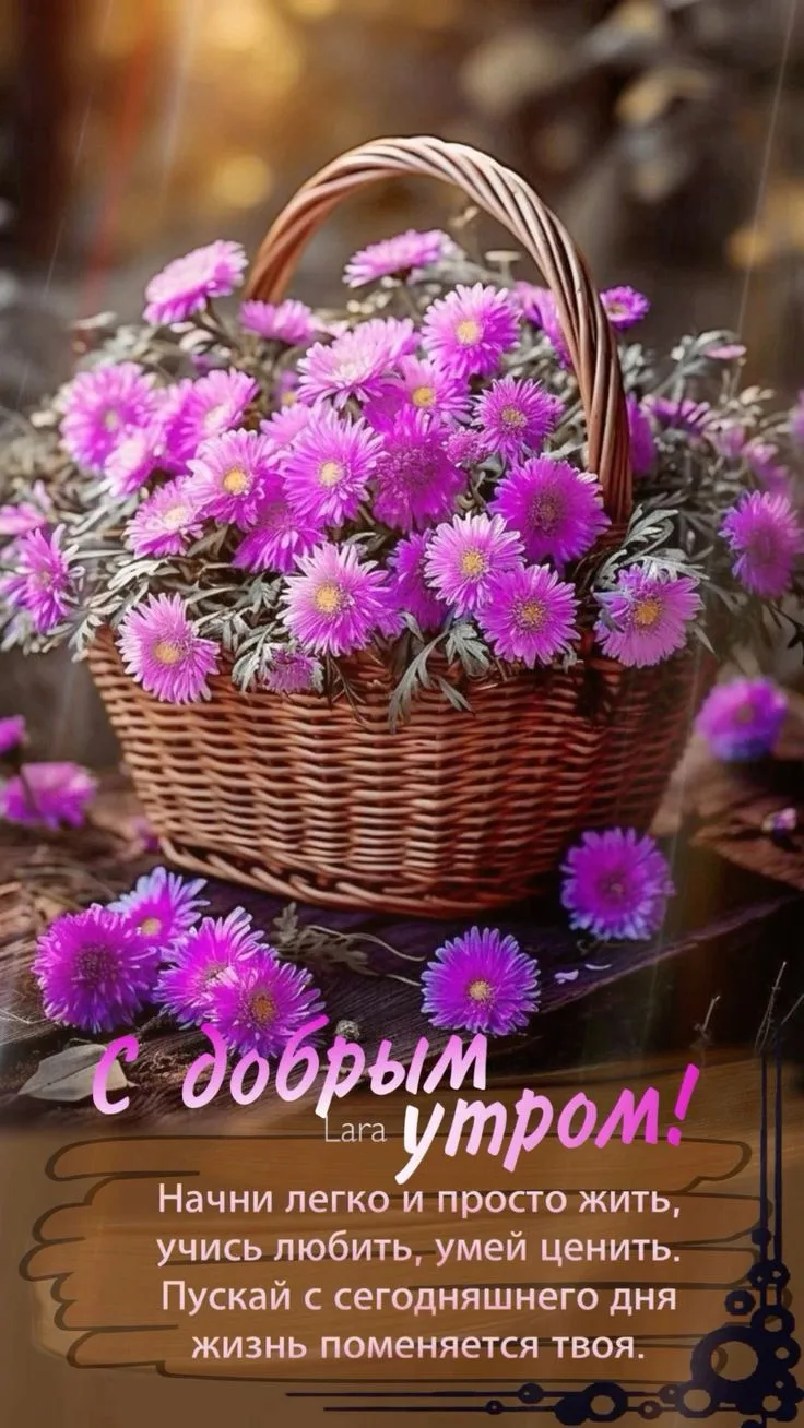 Открытки любимым 🌸🥰
