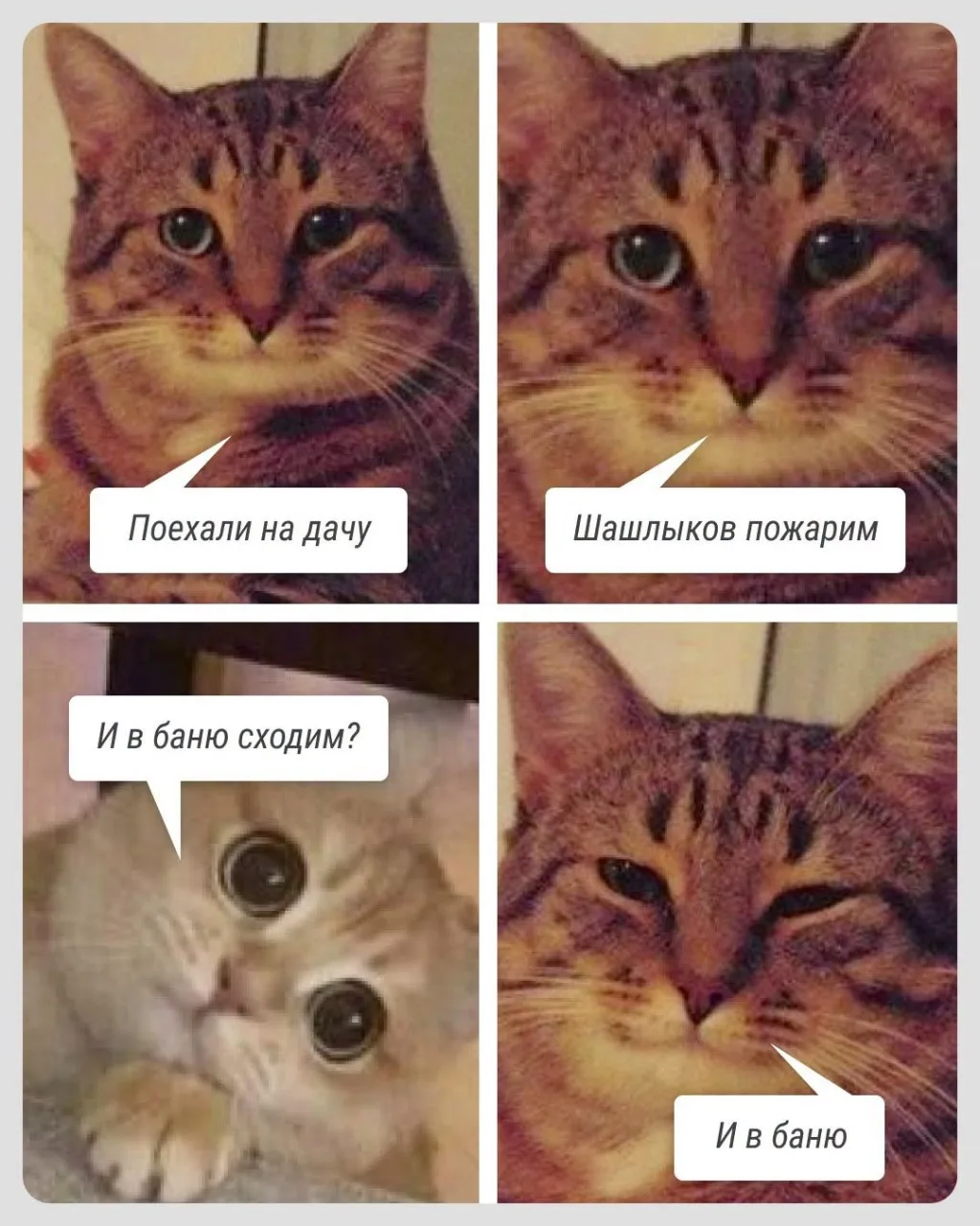 С легким паром! Сегодня День банщика в России!