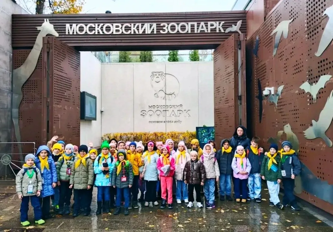 🐘 Серая осень, шум дождя, а у нас — самые яркие краски из Московского зоопарка!