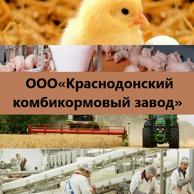 🏭 Работа там, где результат виден каждый день: ООО «Краснодонский комбикормовый завод»