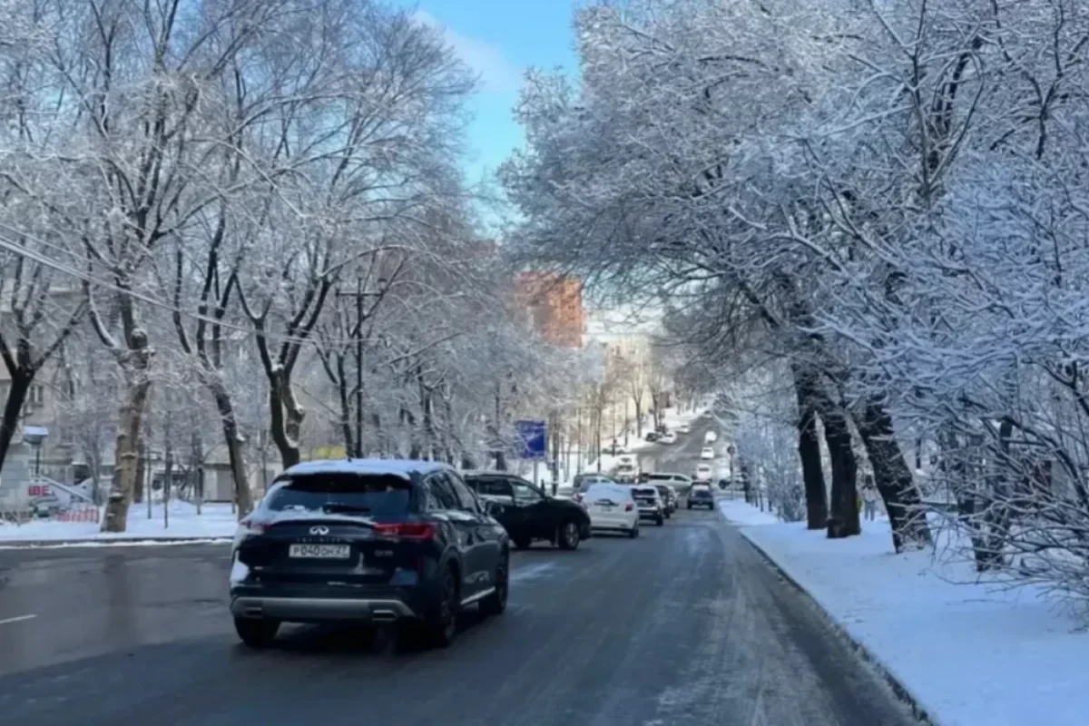 Зимы в России стали теплее — заявление климатолога