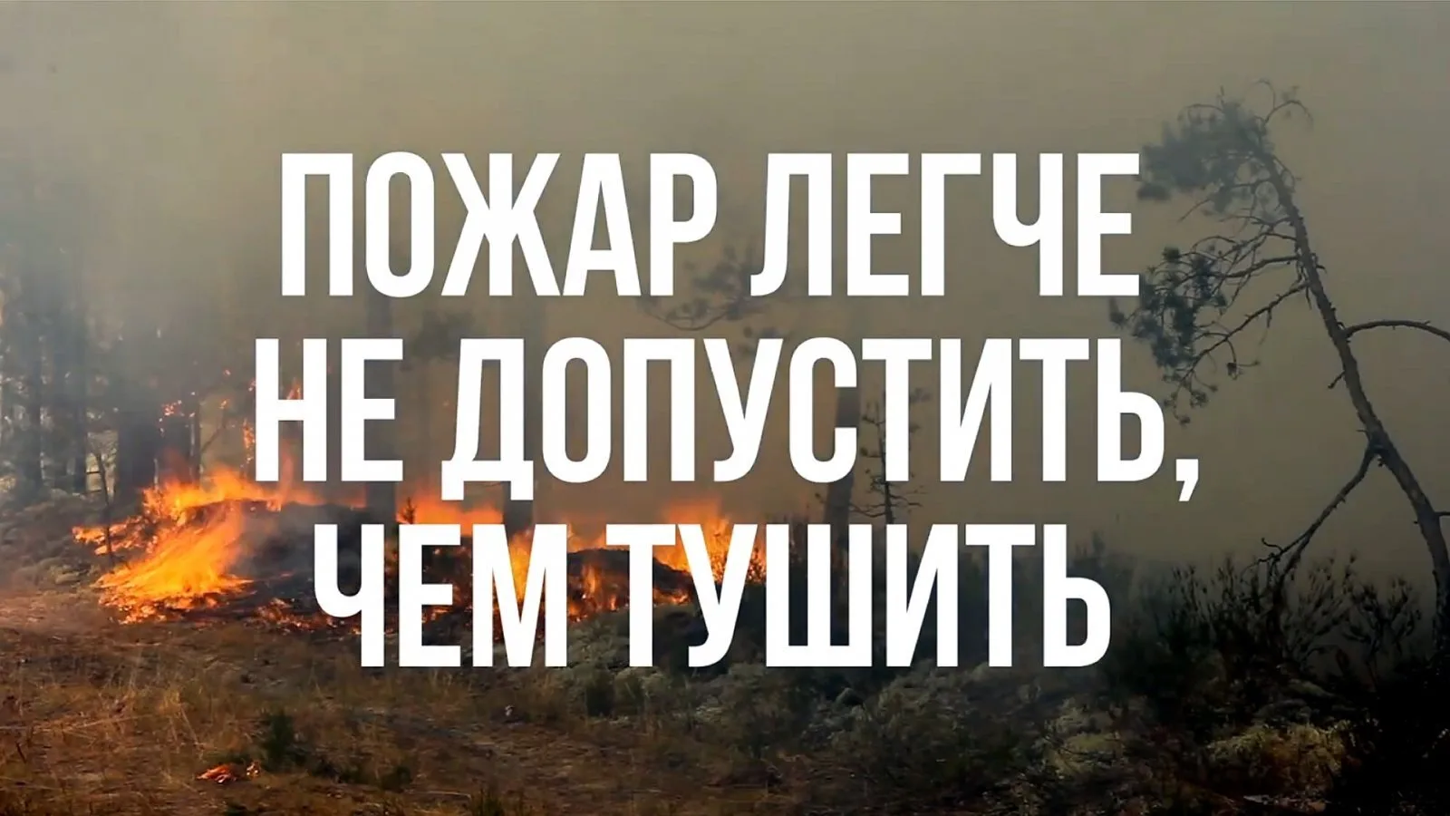 В соответствии с постановлением Президиума Пра-вительства Республики Хакасия от 11.09.2...