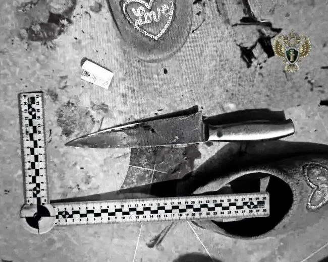 🔪 Жителя Новоалександровского округа будут судить за убийство знакомого 17 ударами ножа.