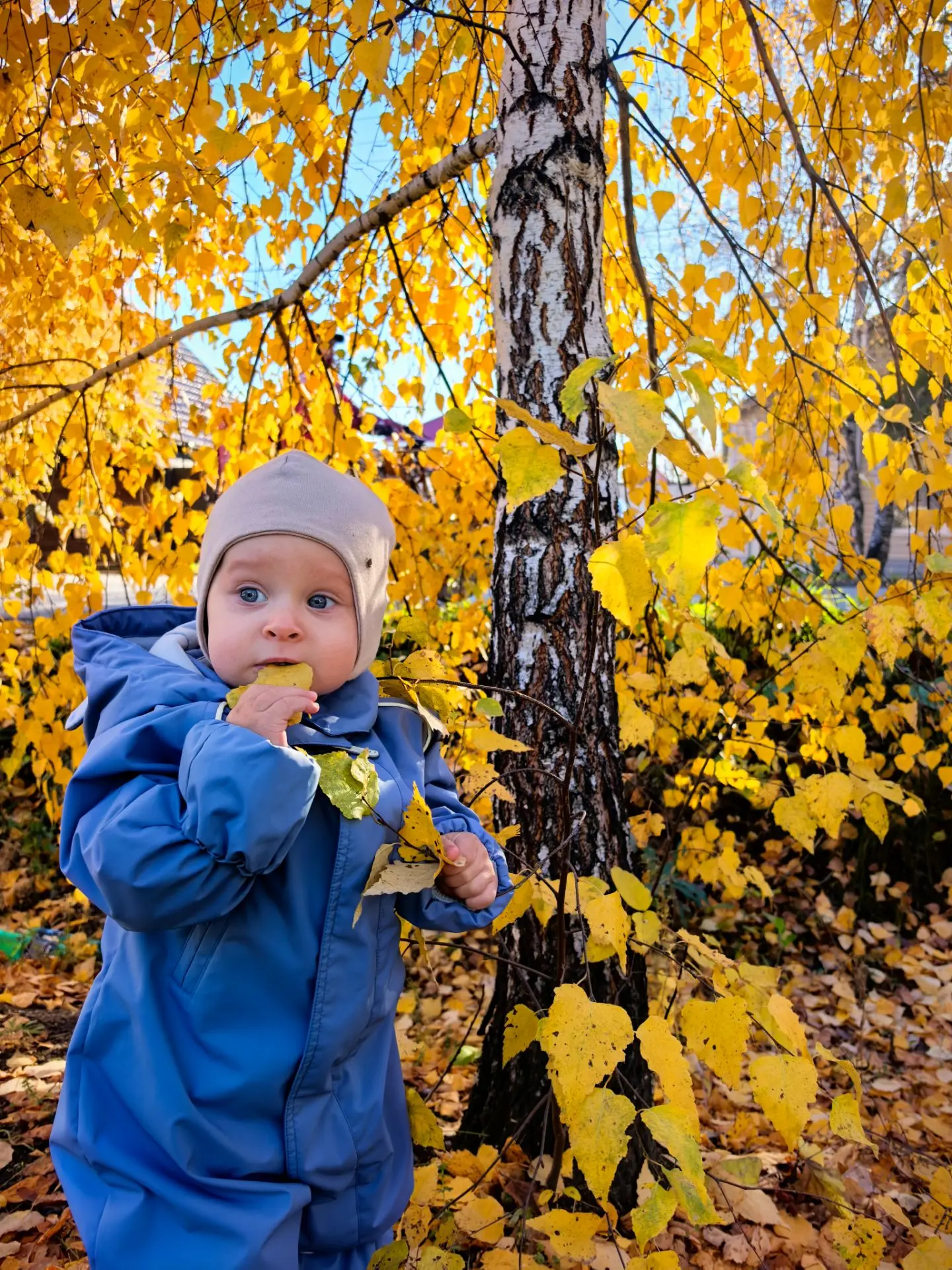 Всем хорошего дня 💛❤️