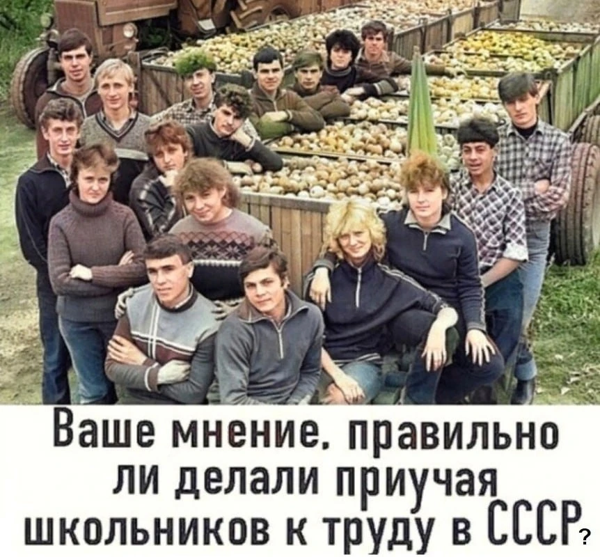 Советские дети с детства знали, что такое труд 😌