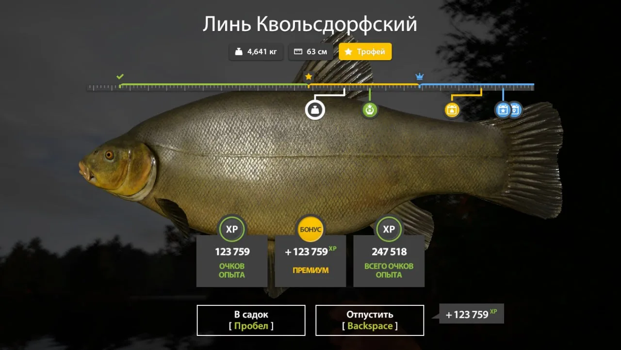 #медное@RF4_Vkluchite_klev