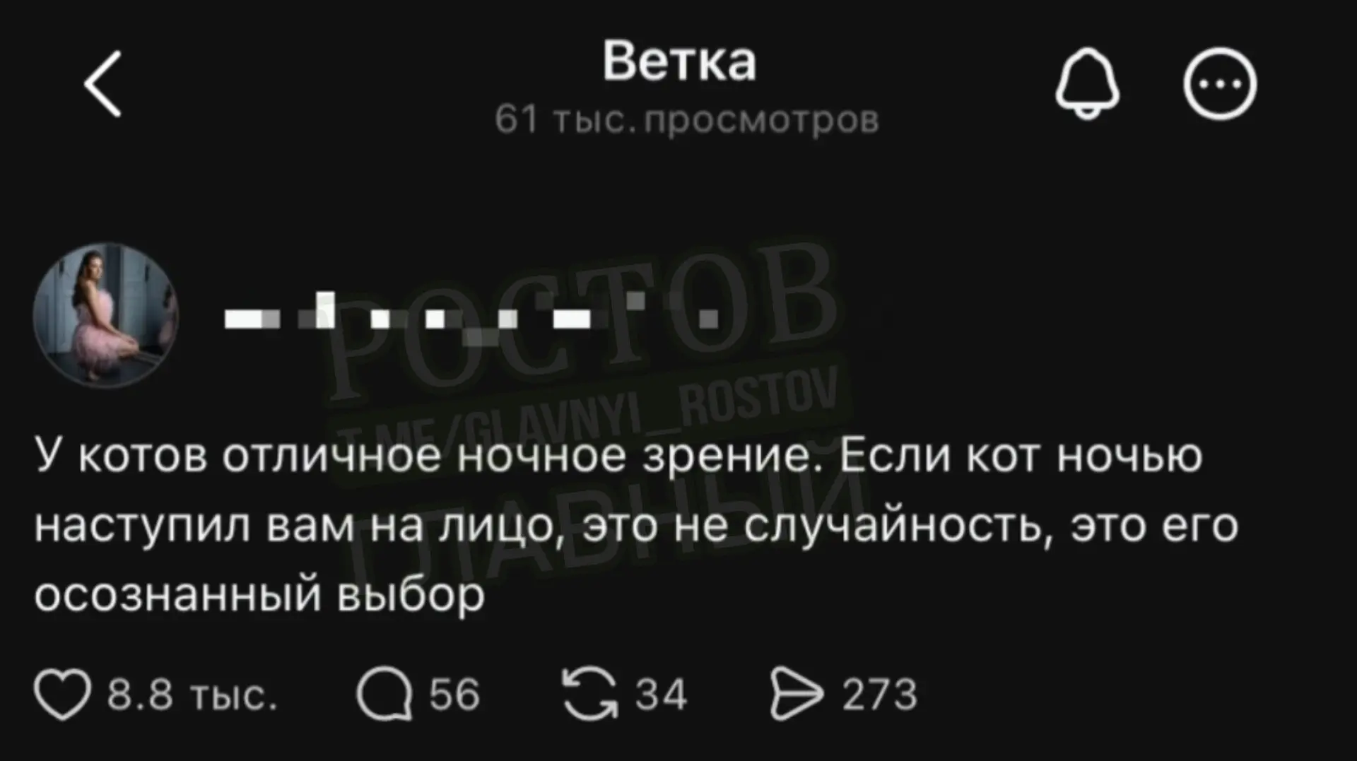 😼