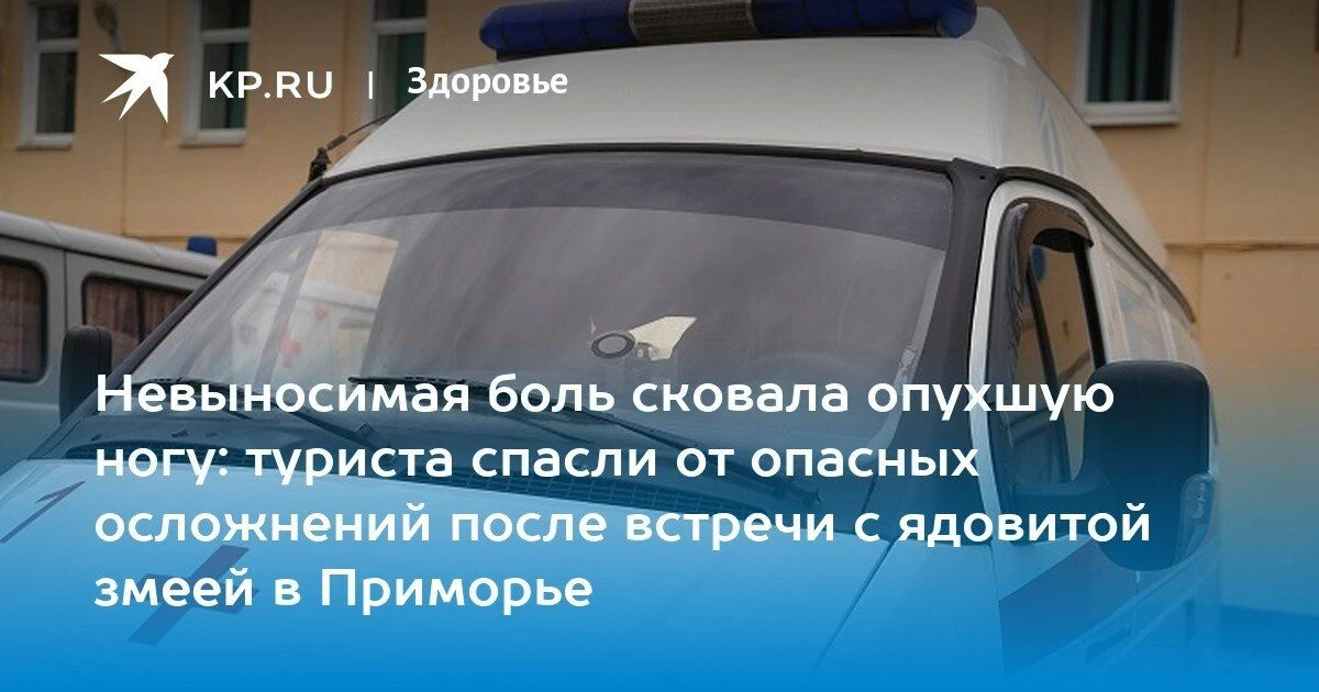Спасение от ядовитого щитомордника
