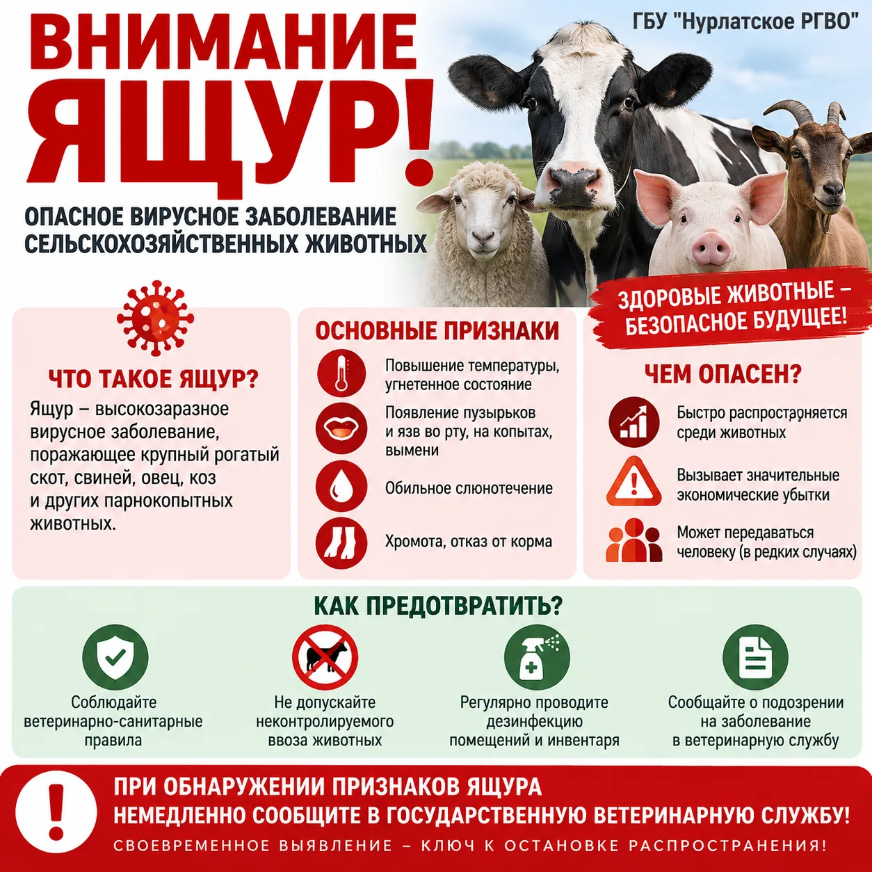 🦠 Ящур: коротко о главном — чтобы быть в безопасности