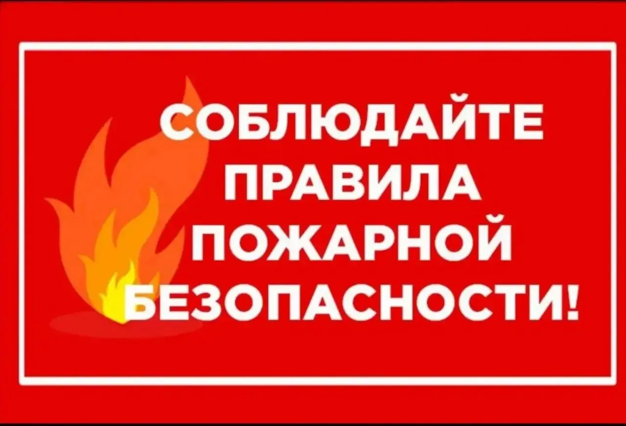 🚨 Пушкино, внимание!