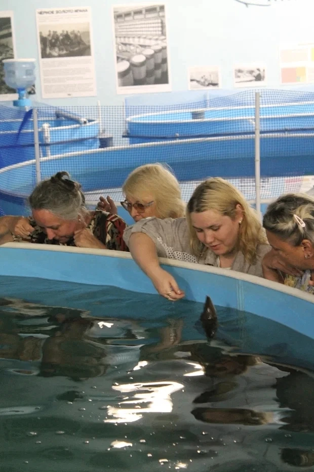 🐠 ПРОГУЛКА ПО ЙОШКАР-ОЛЕ И ОСЕТРОВАЯ ДОЛИНА