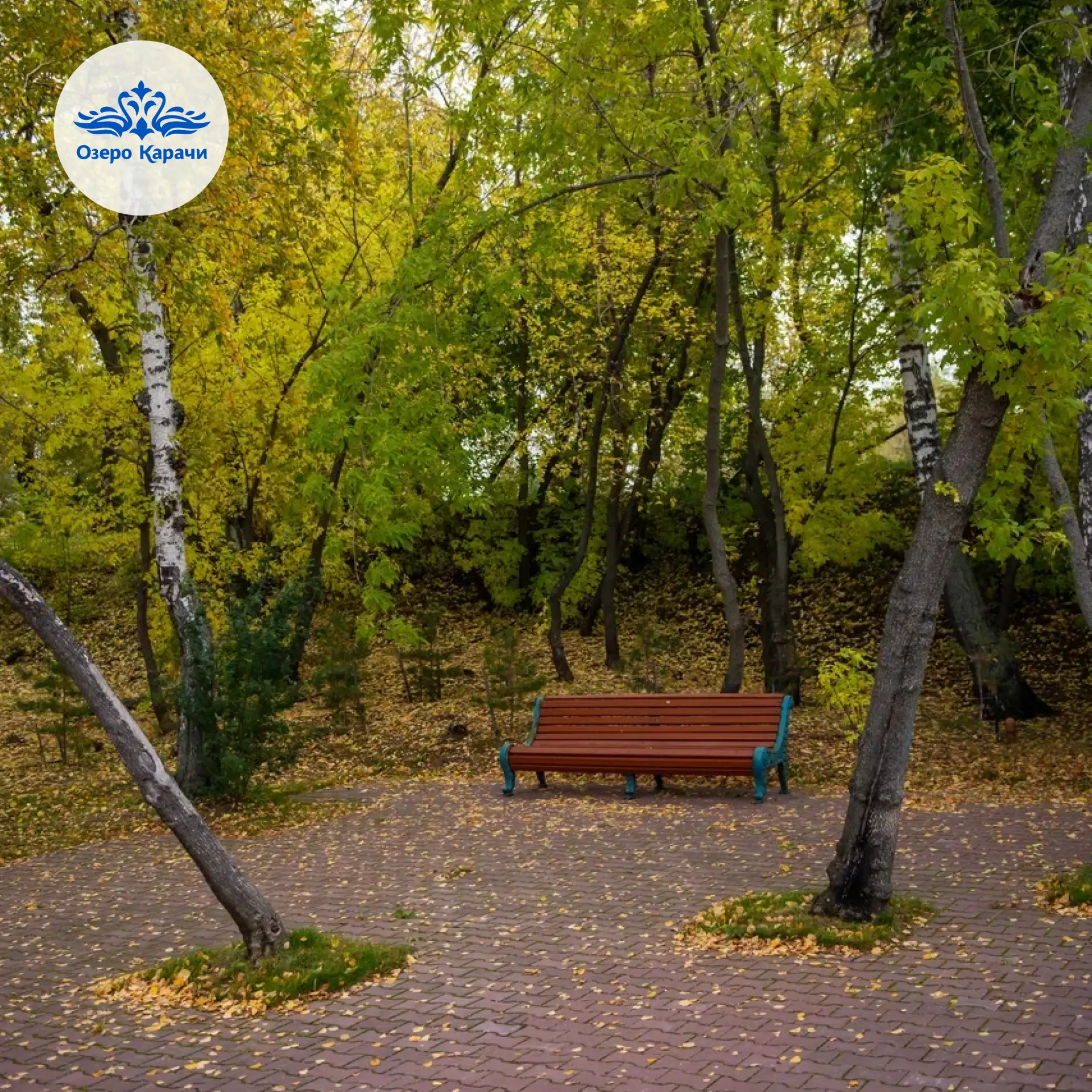🌅Доброе утро, Озеро Карачи!