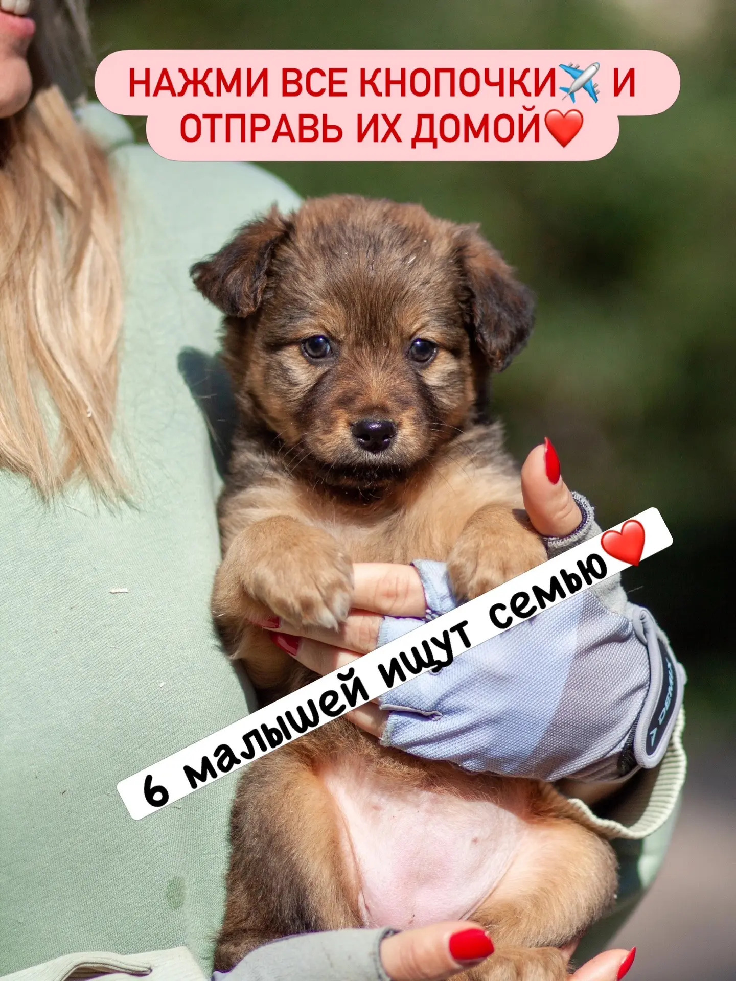 Осталось 6 клопиков без семьи❗️