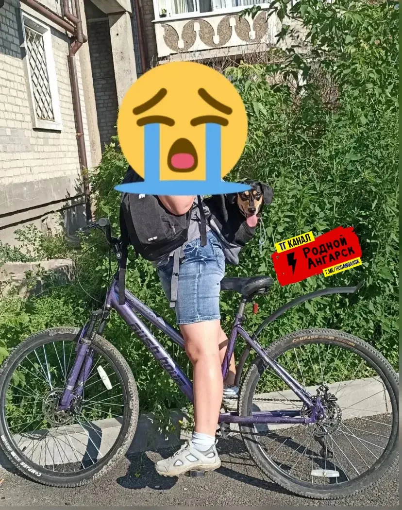 Здравствуйте. 3 октября в 20ч от магазина Хлеб и Соль в 6а мкр был украден фиолетовый в...