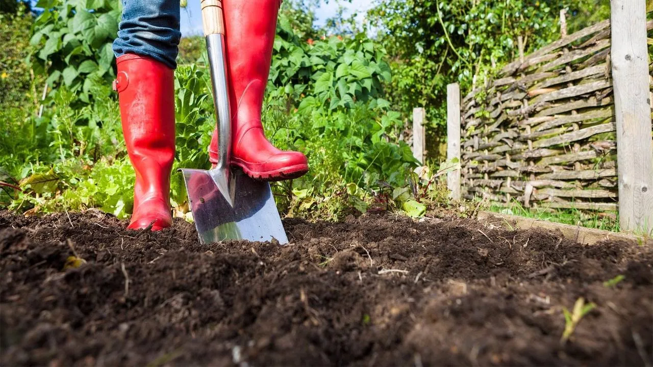 🧑‍🌾Подготовка почвы к новому сезону: без перекопки, но с пользой