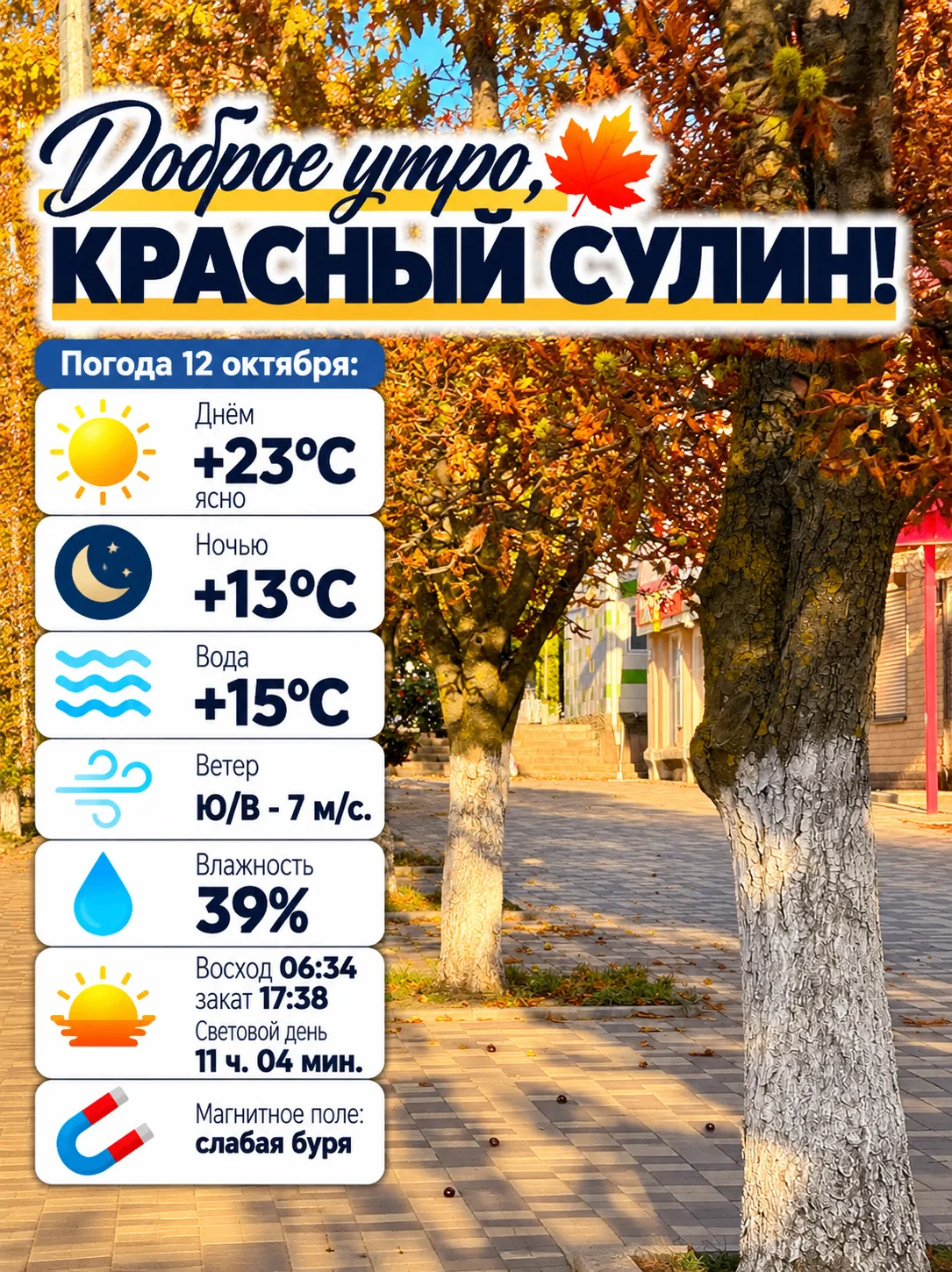 Доброе утро, Красный Сулин! 🍂