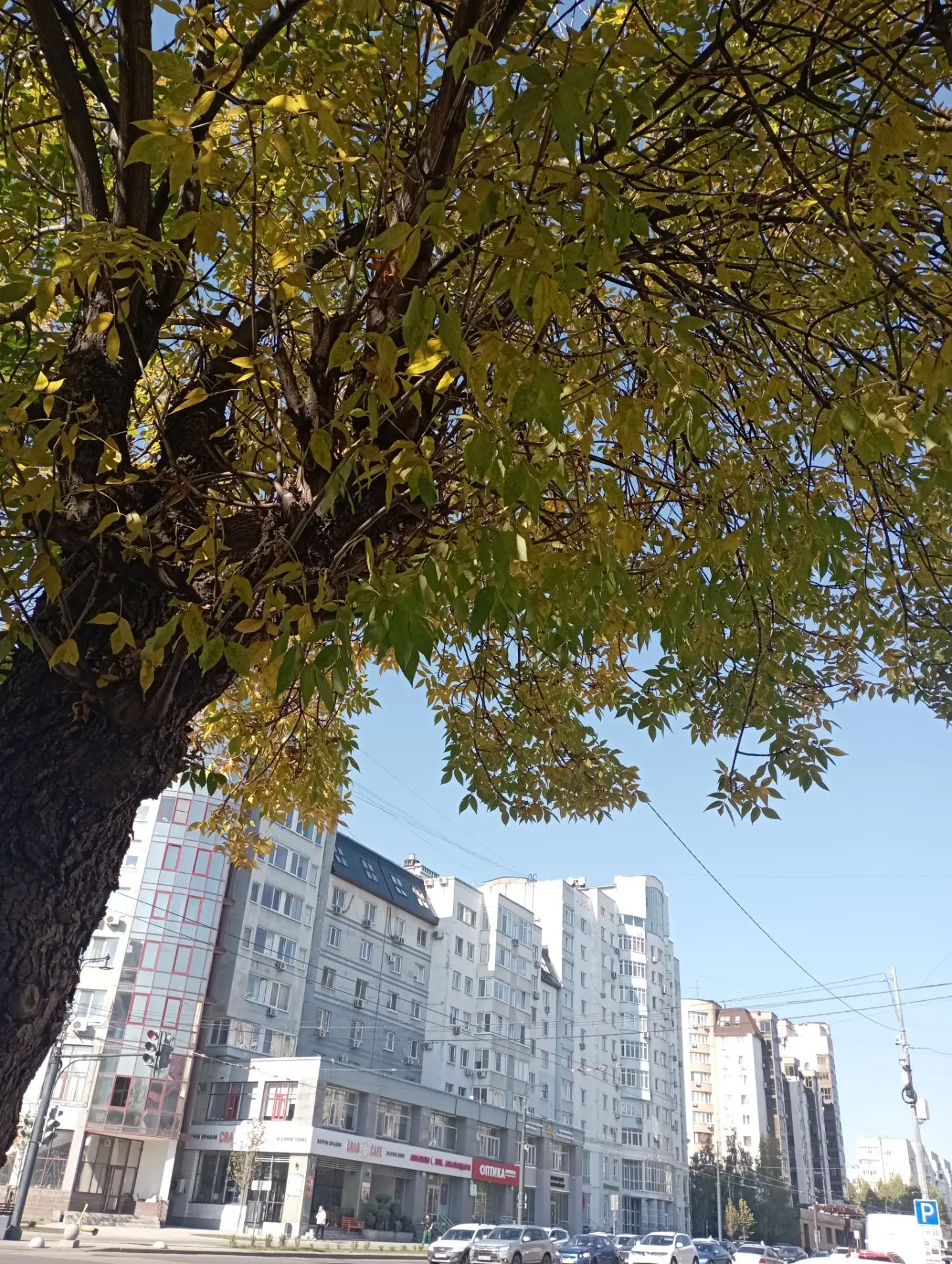 🍁 Көҙгө матур көн