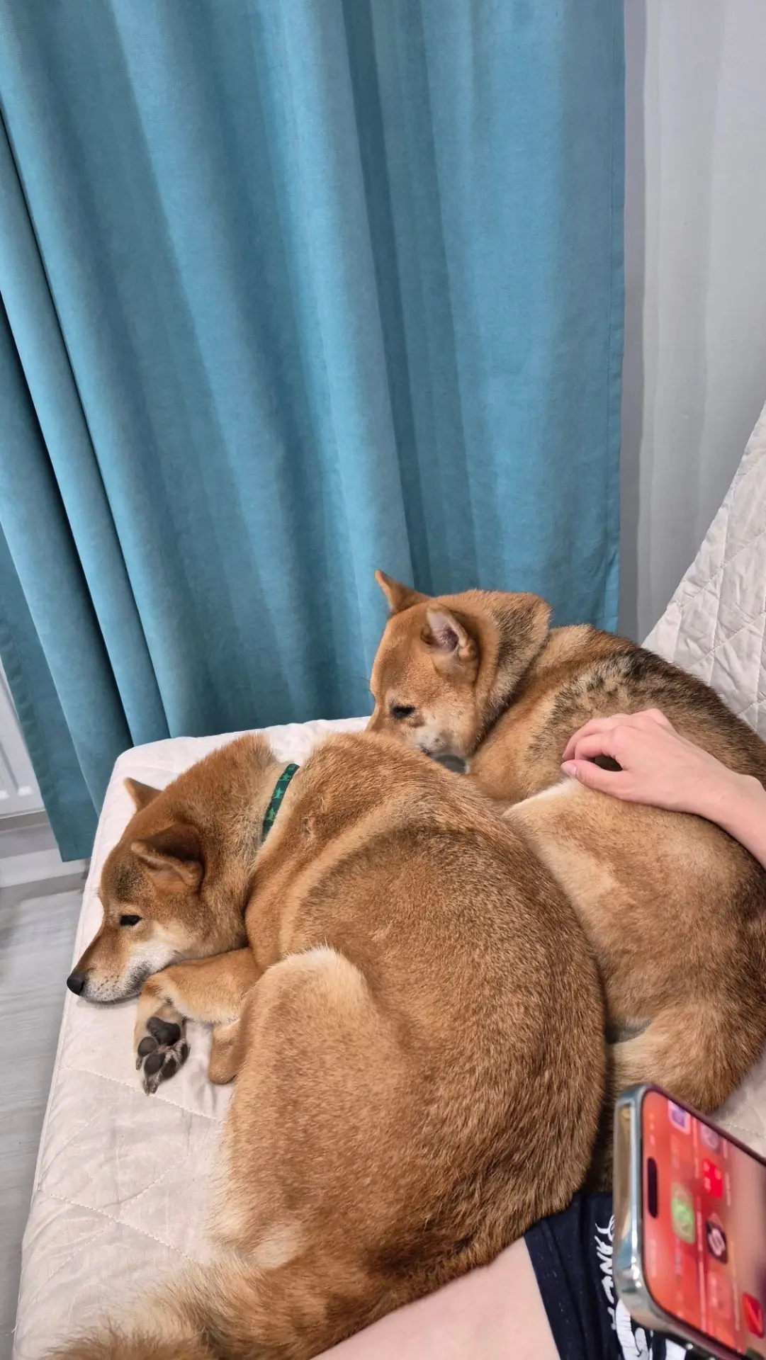 Отдых перед зимой)