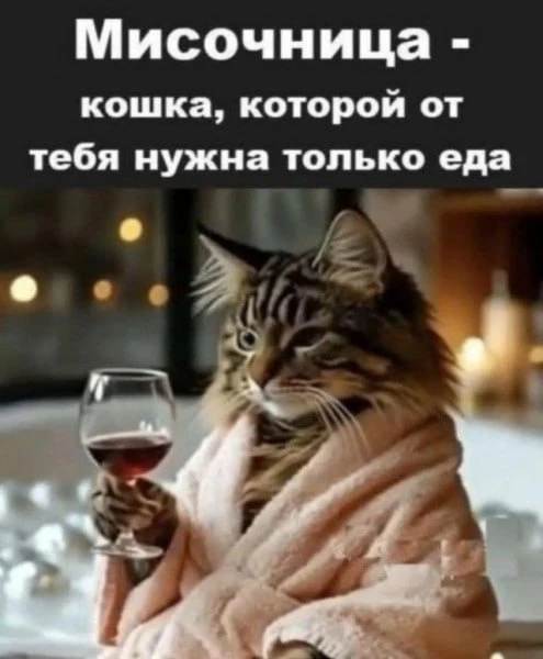ТГ и МАХ