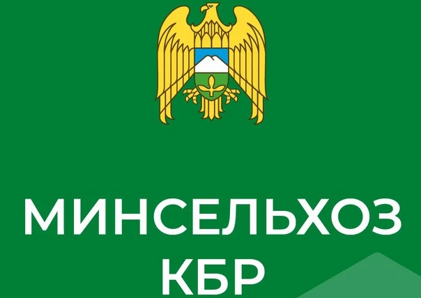В четырех регионах СКФО проверили качество нового урожая пшеницы