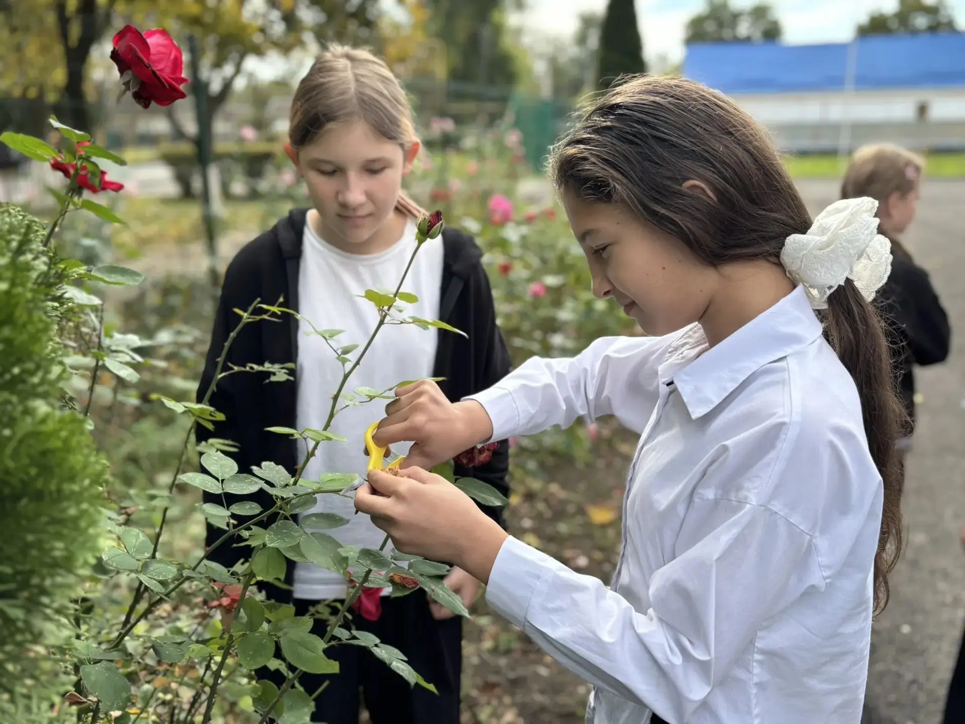 🌿 Сегодня в нашей школе прошел Всероссийский экологический субботник «Зеленая Россия»!