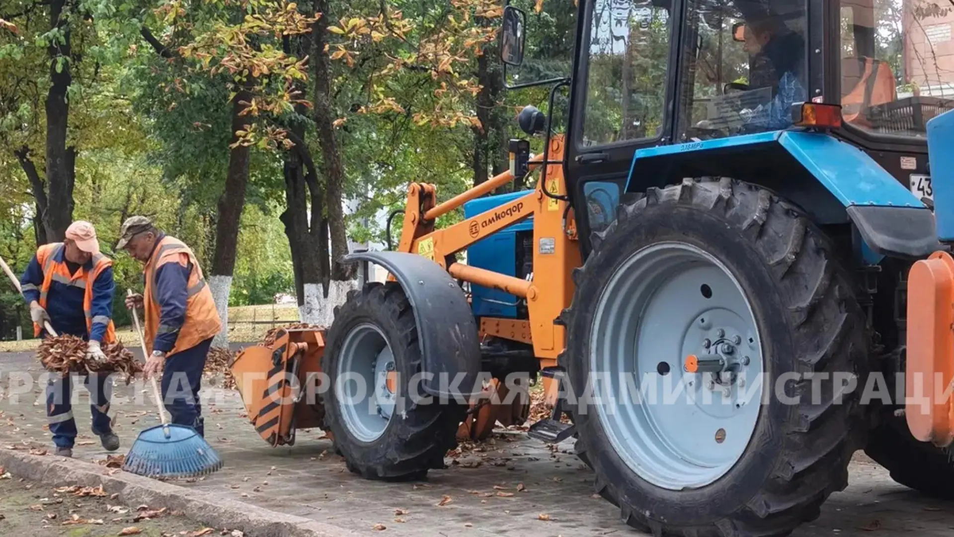 В Брянске дорожные службы одновременно косят траву и убирают опавшую листву