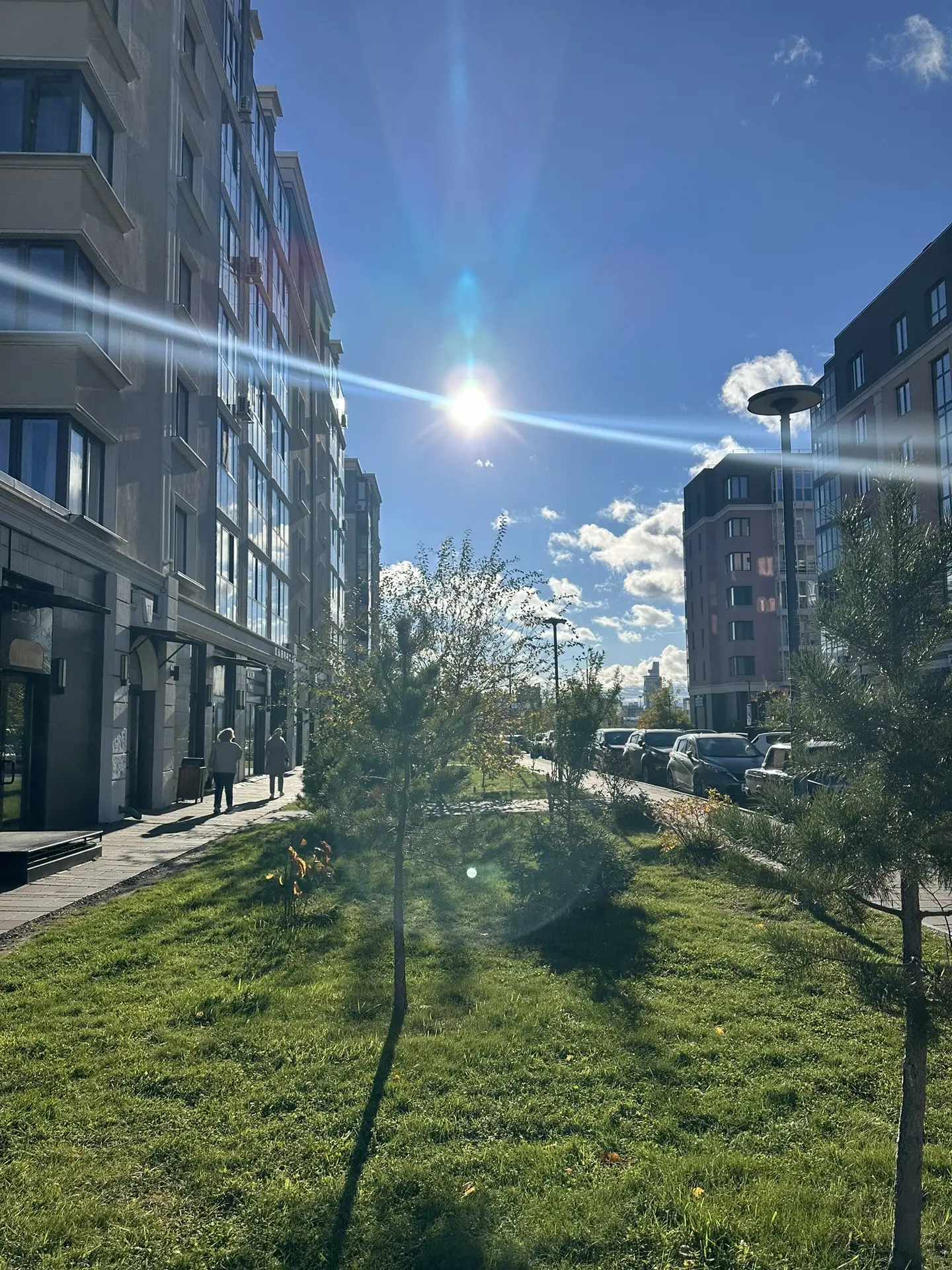 Доброе утро! Погода очень солнечная, но ветреная 🌬️
