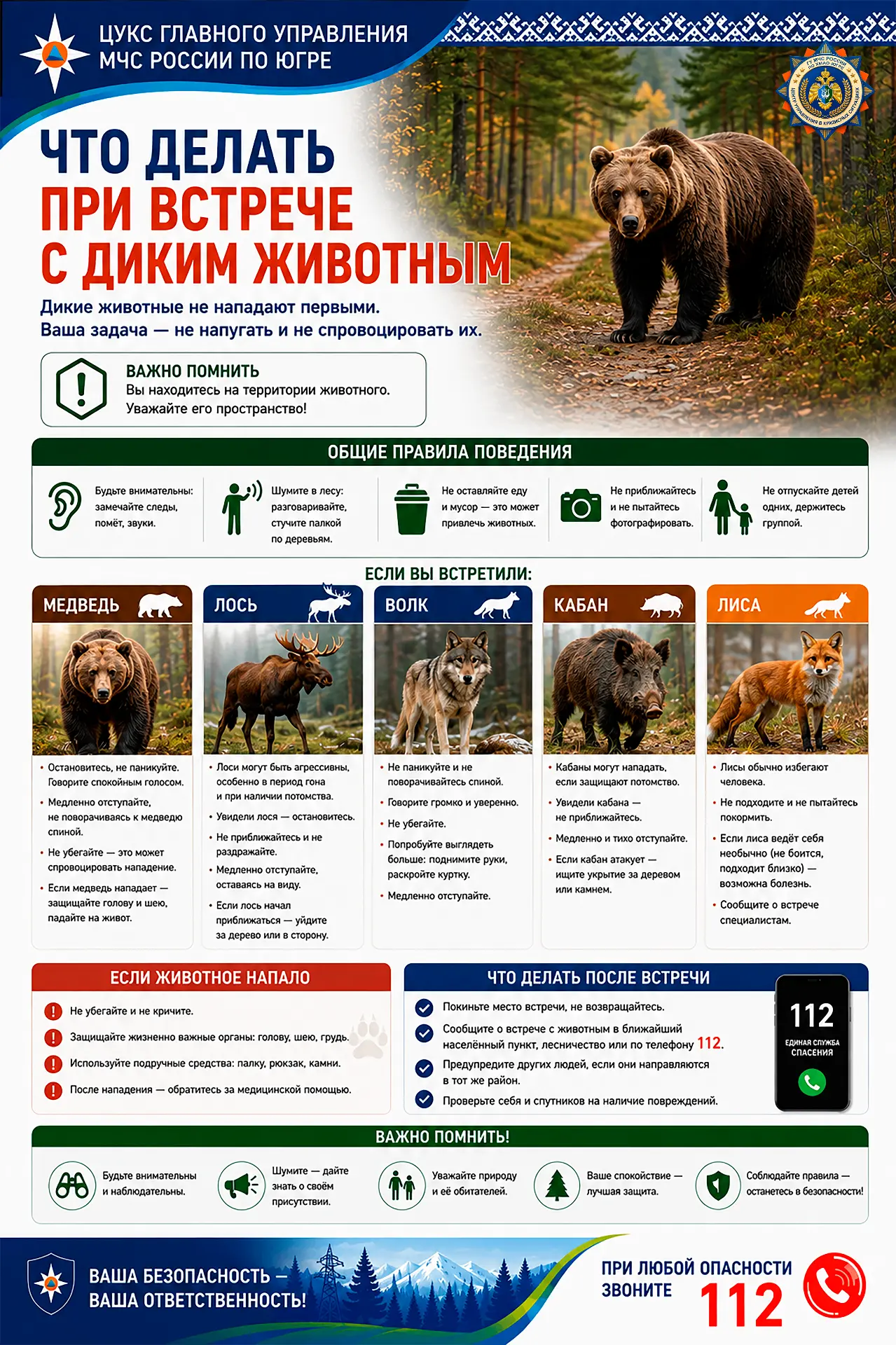 🐻 Что делать при встрече с диким животным?