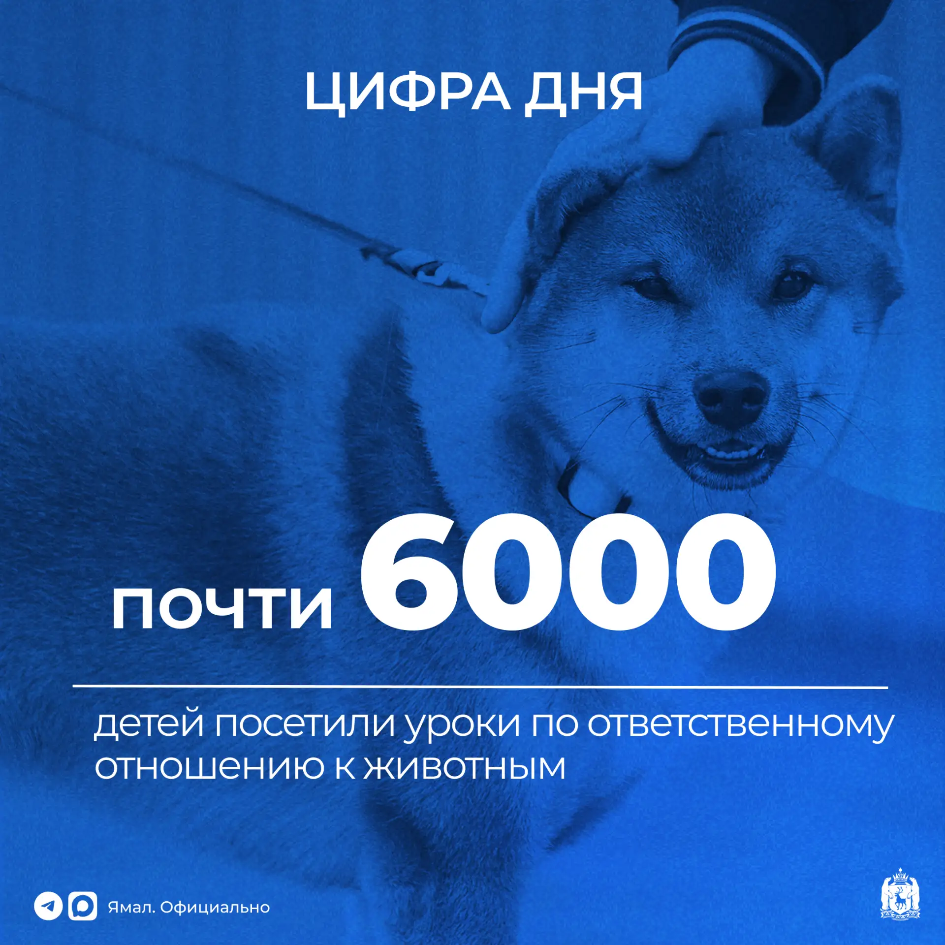 С начала года специалисты окружной службы ветеринарии провели более восьмидесяти «Уроко...