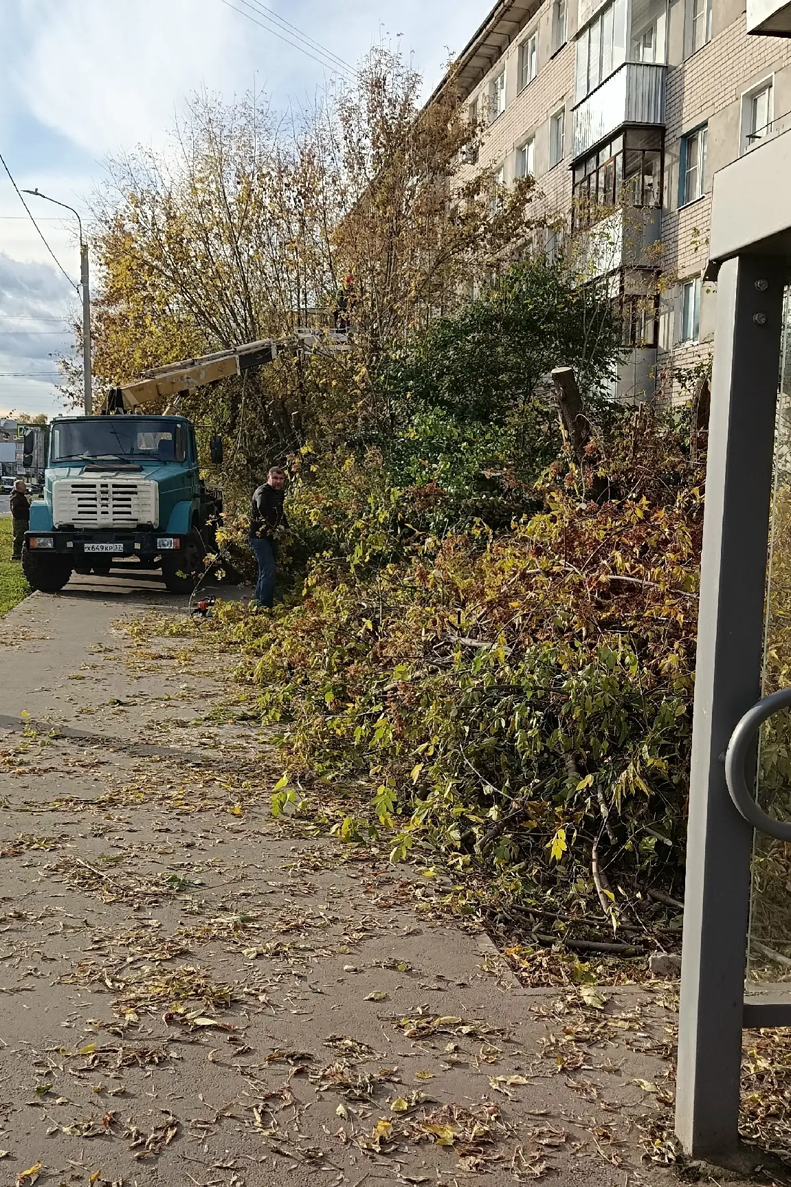 🌳 В Иванове на ул. Генерала Хлебникова выпиливают деревья