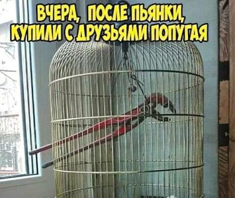 😃Картинки для настроения|👉 Подписаться